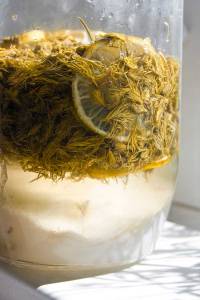 Granskottssirap-dag-7