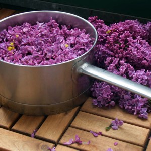 Omständig syrensaft