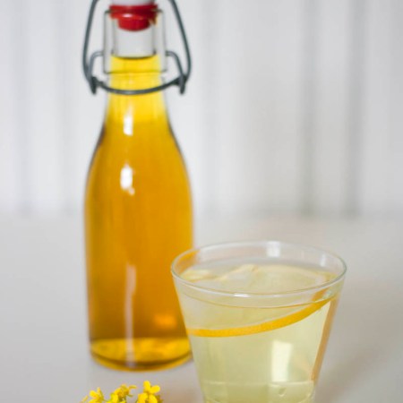 Ryssgubbesaft