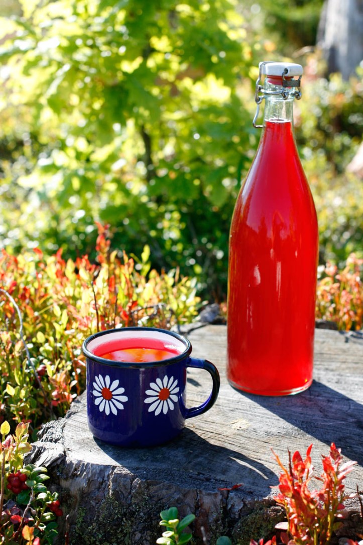 Rårörd lingondricka