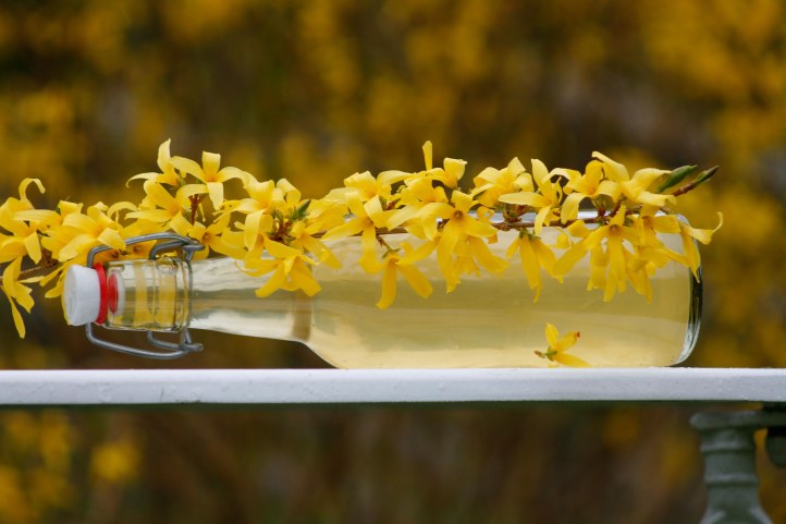 Forsythiasaft