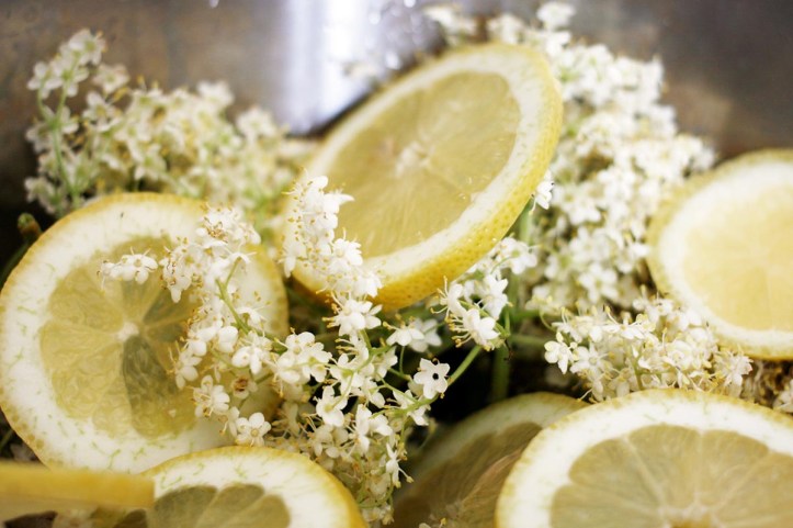 Flädersafttillverkning