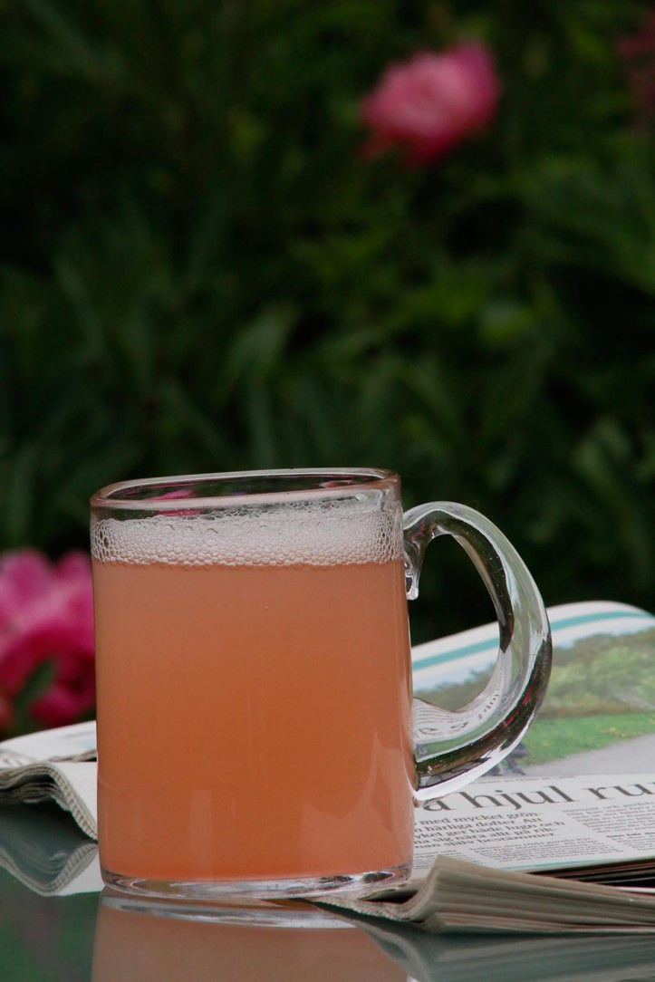 Rabarberknäcksaft