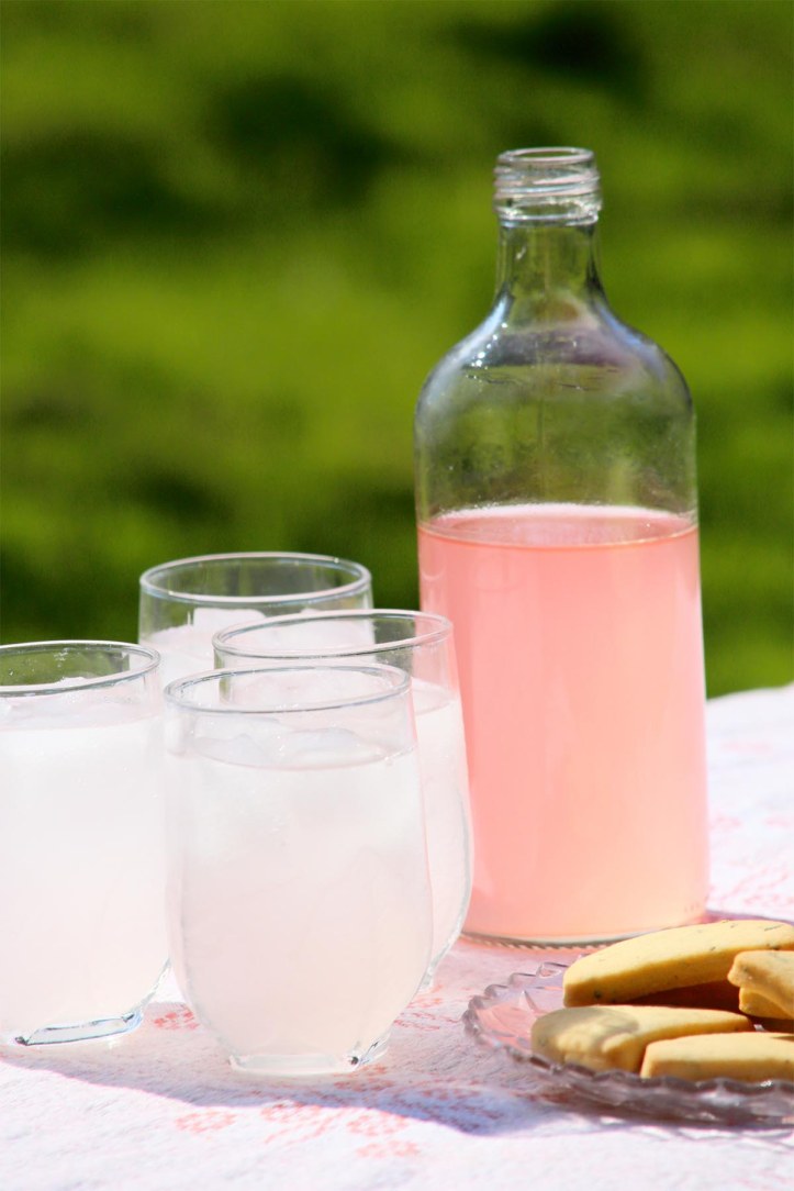 svartvinbärsbladssaft