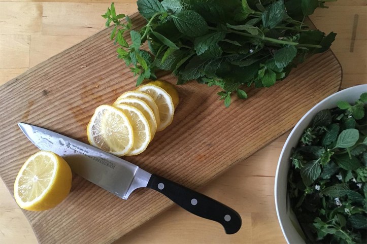 Citronmelissaft, beredning