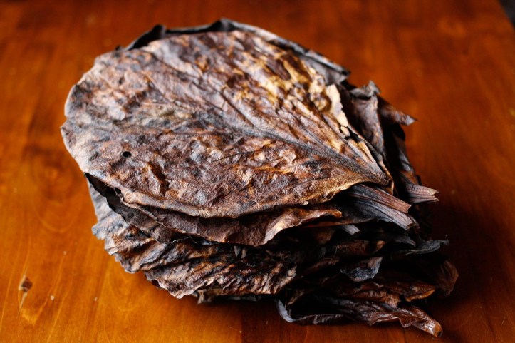 Torkade bergeniablad