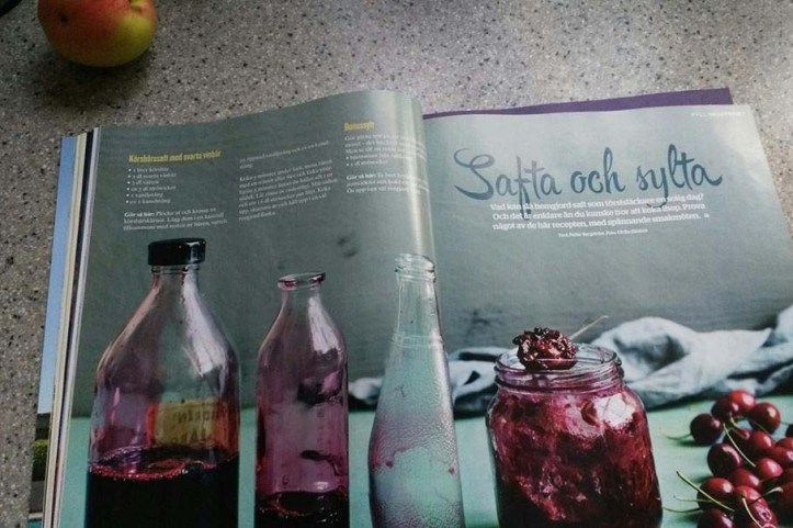 Safthushållning i Villaägaren