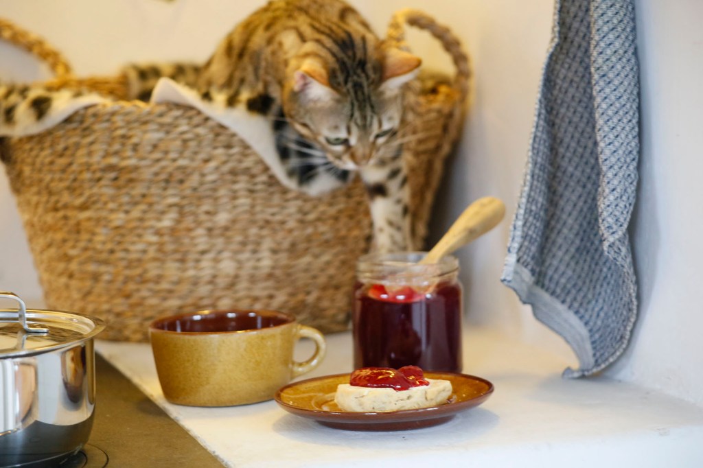 Druvgelén passar utmärkt till scones.